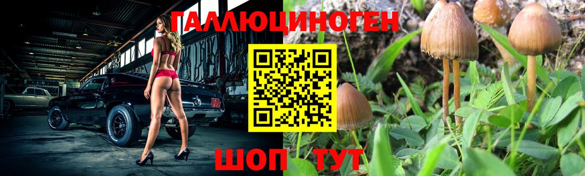 Псилоцибиновые грибы мухоморы Кемерово