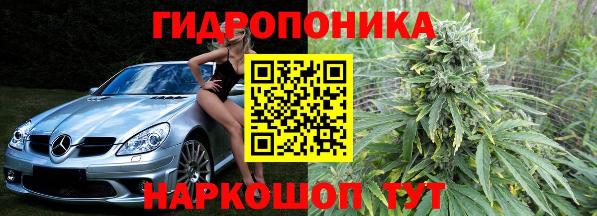 Бошки Шишки конопля  Вход с VPN  Шишки марихуана семена  Бошки марихуана ГИДРОПОН  Кемерово 